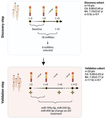 Specific miRNAs Change After 3 Months of GH treatment and Contribute to Explain the Growth Response After 12 Months